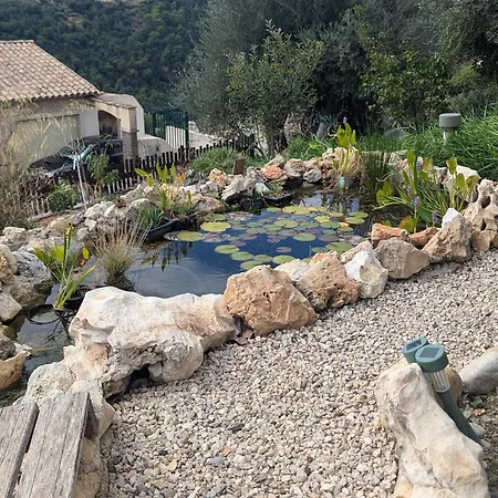 Maison L'aloe Vendégház *